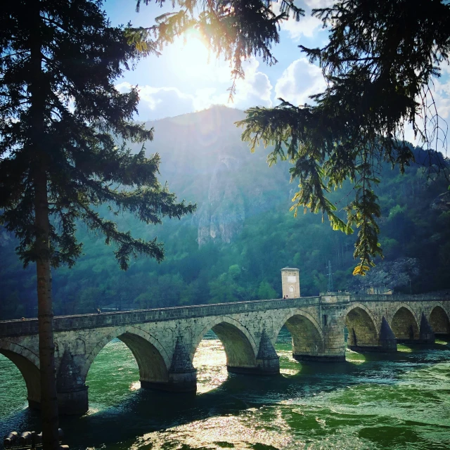 a bridge that is over water with trees