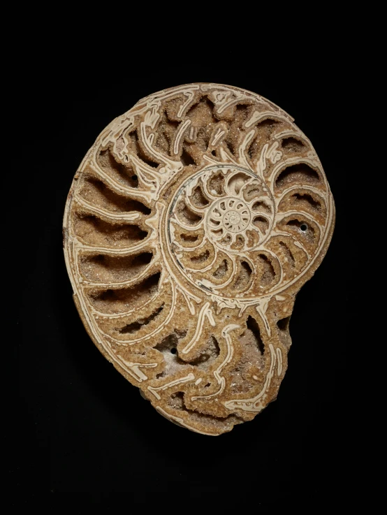 a wooden piece with intricate carvings on it