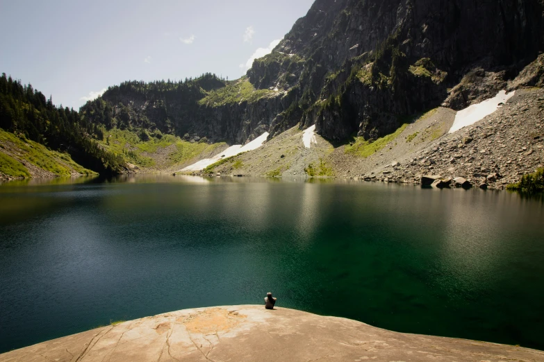 the bird is sitting on the rock by the mountains