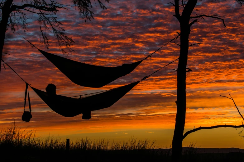 two hammocks hanging from trees during sunset