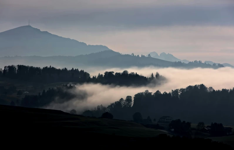 a forested area is in the distance and fog is rolling across it