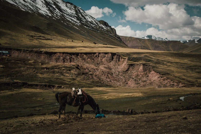 a man sitting on a horse in the mountains