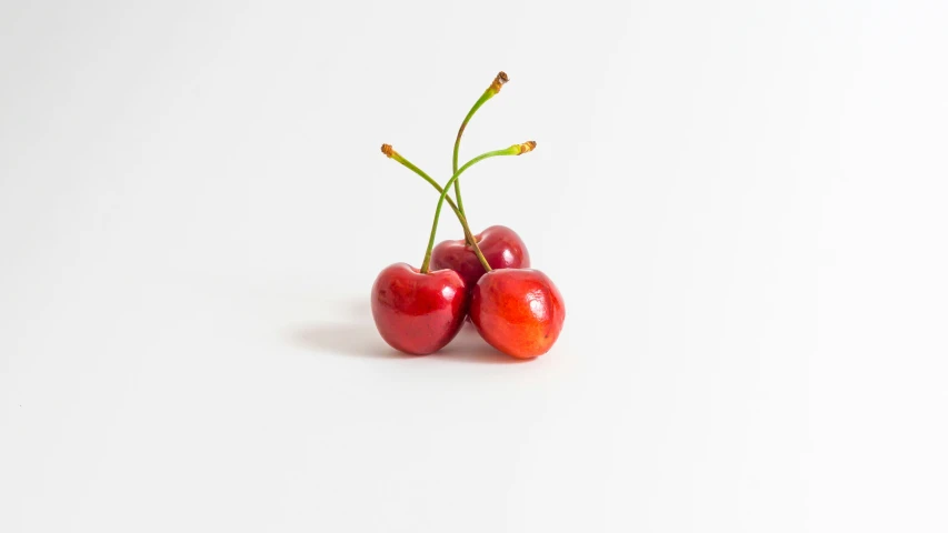 three cherries with green stems in a white background