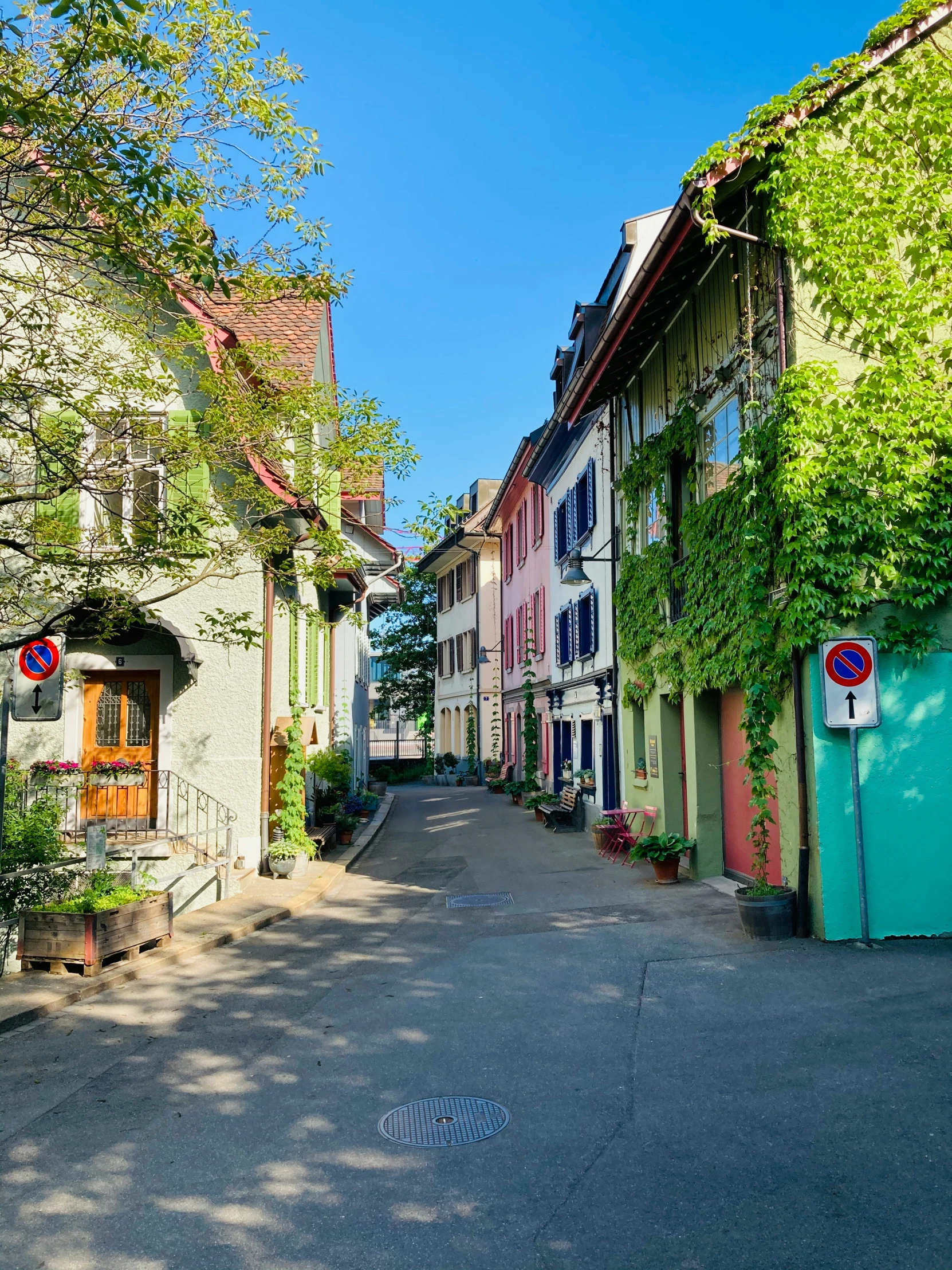 street with many buildings and lots of greenery