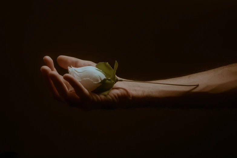 the hand is holding a leaf with white wax