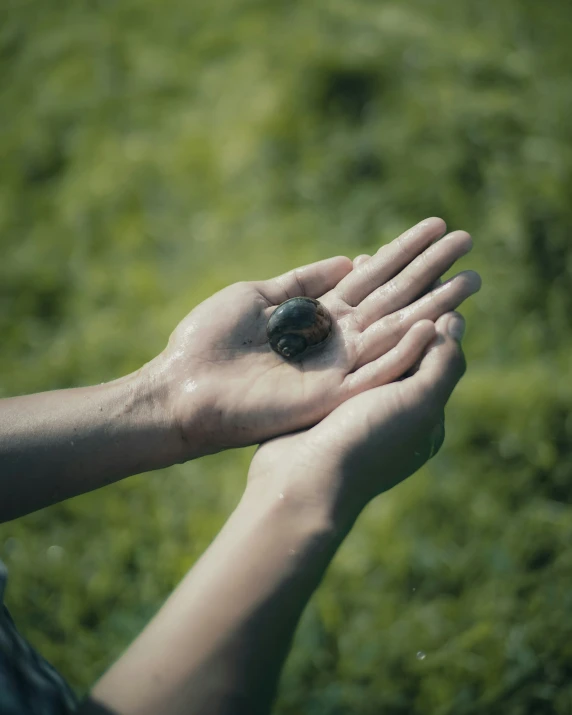 a hand reaches into the air over grass