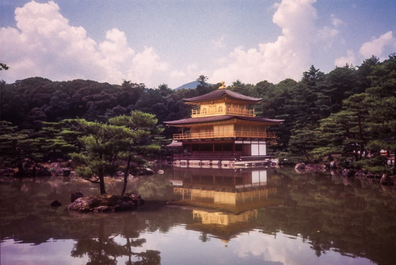 a large pond surrounded by trees and shrubs