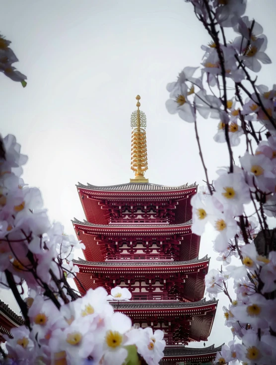 there is a tall pagoda with flowers in front of it