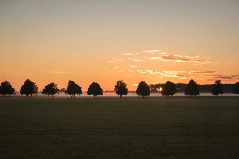 a large field with many trees and a setting sun