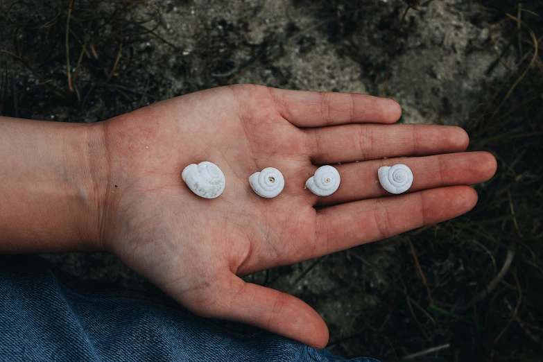 several small stones being held up in the palm of someone's hand