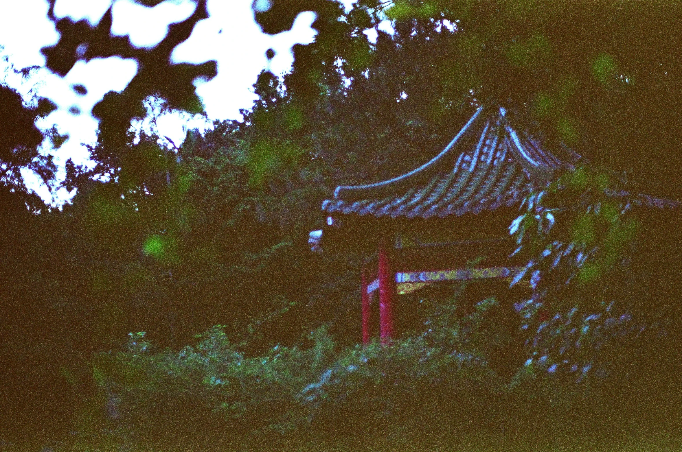 a pograph with trees behind it at night