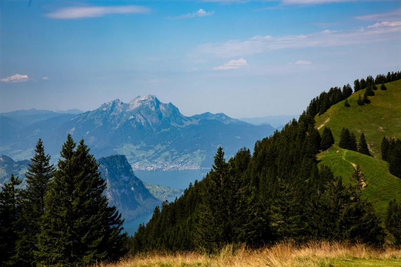 the mountains are covered in evergreens and snow