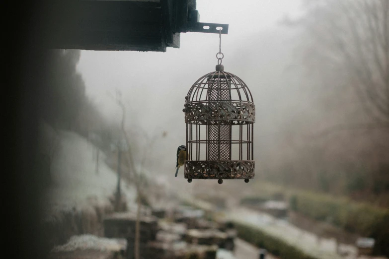 a cage hanging from a window next to an outdoor area