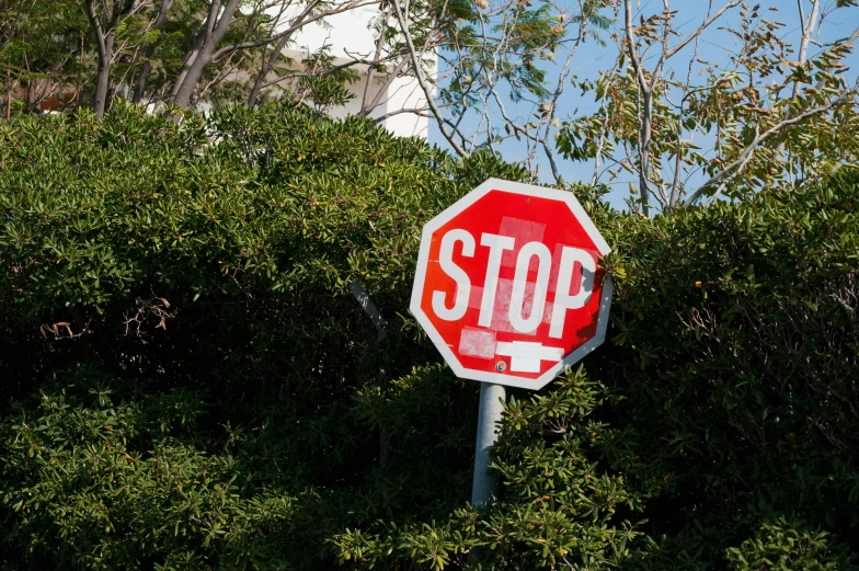 a red stop sign sitting under a bunch of bushes