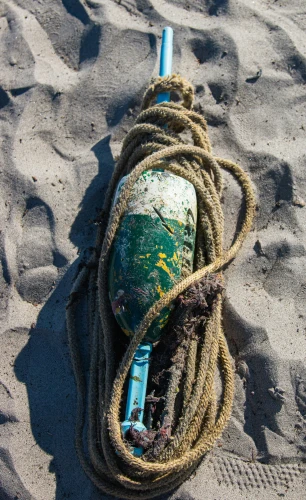 a worn out rope laying on top of a beach