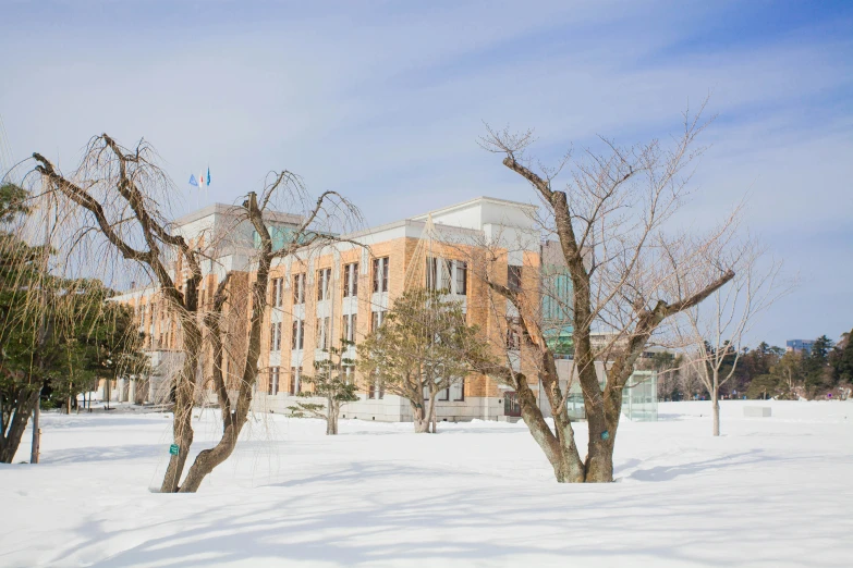 two trees are in the snow outside a building