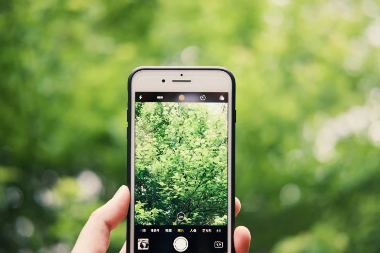 a hand holding a smart phone in front of a blurred tree