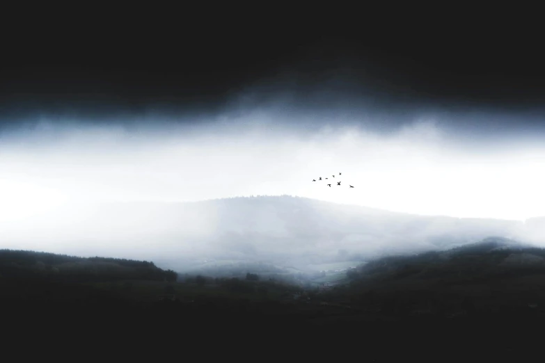 some trees in the fog near hills