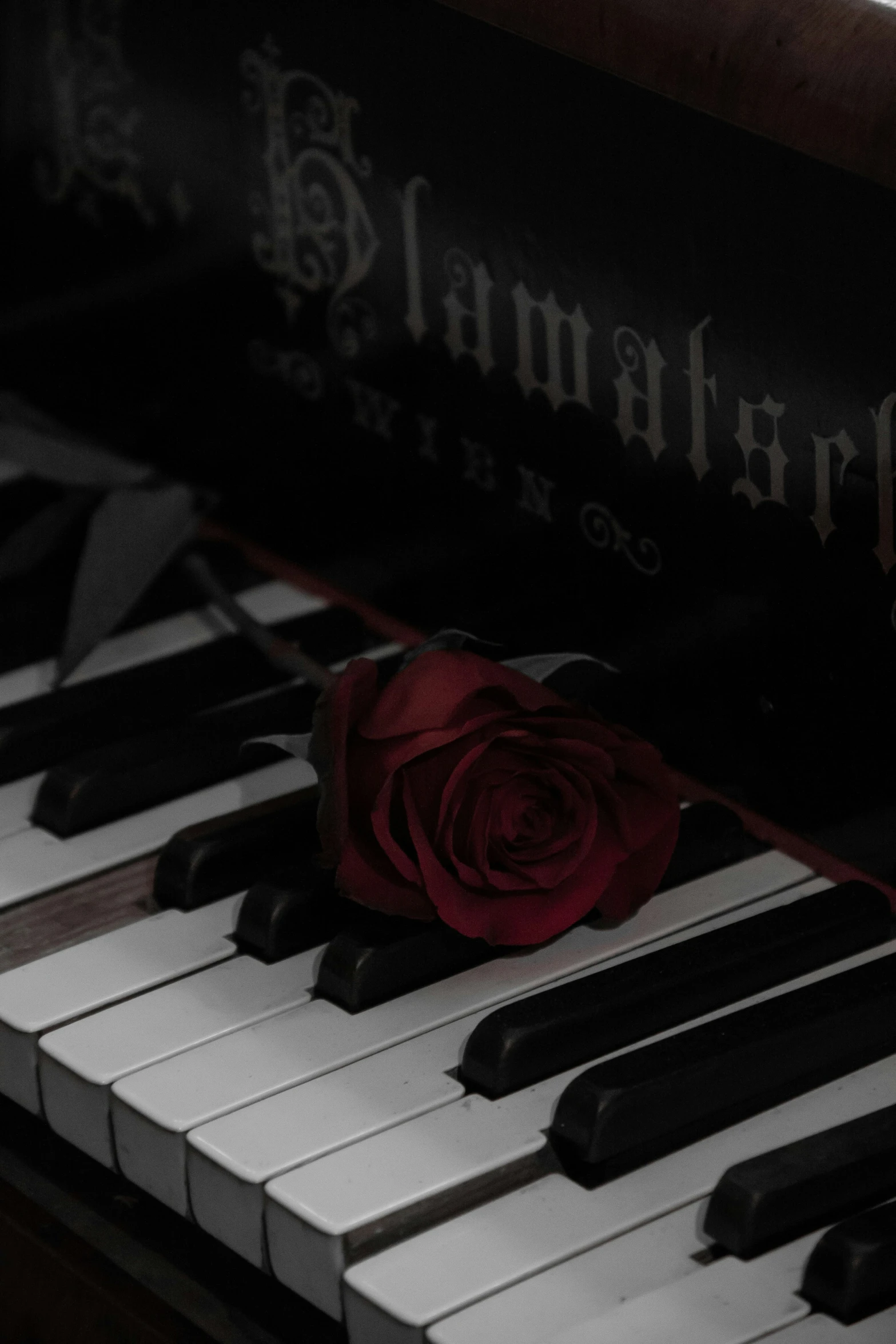 the piano keyboard has a rose on it