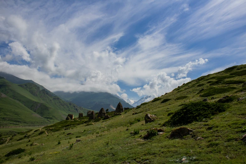 a hilly hillside with some trees and grass