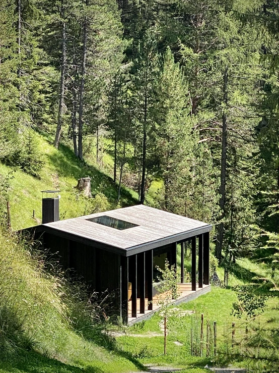 an aerial view of a small cabin in the woods