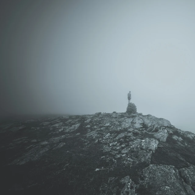 the lone tree stands on top of the rock