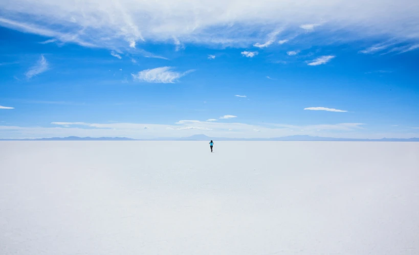 the lone person stands in front of a bright blue sky on a flat plain