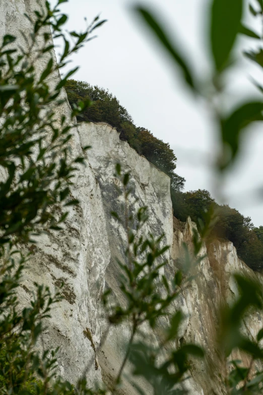 a tall white cliffside has green trees in front of it