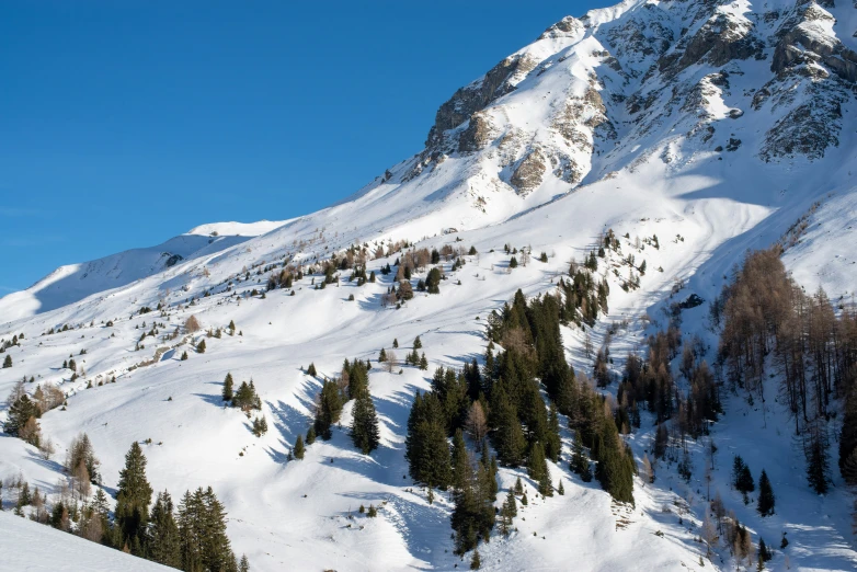 a mountain is covered in snow and surrounded by evergreen trees