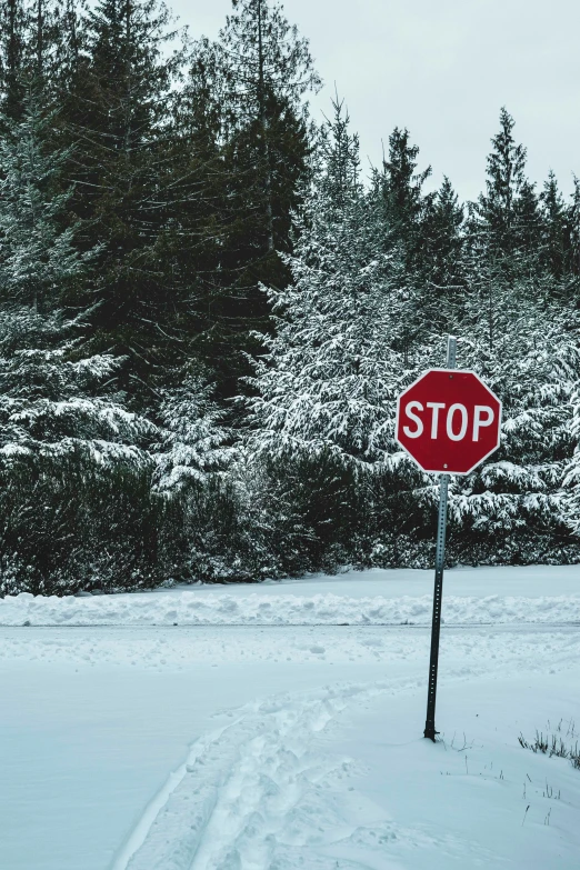 a stop sign sitting in the snow near a forest