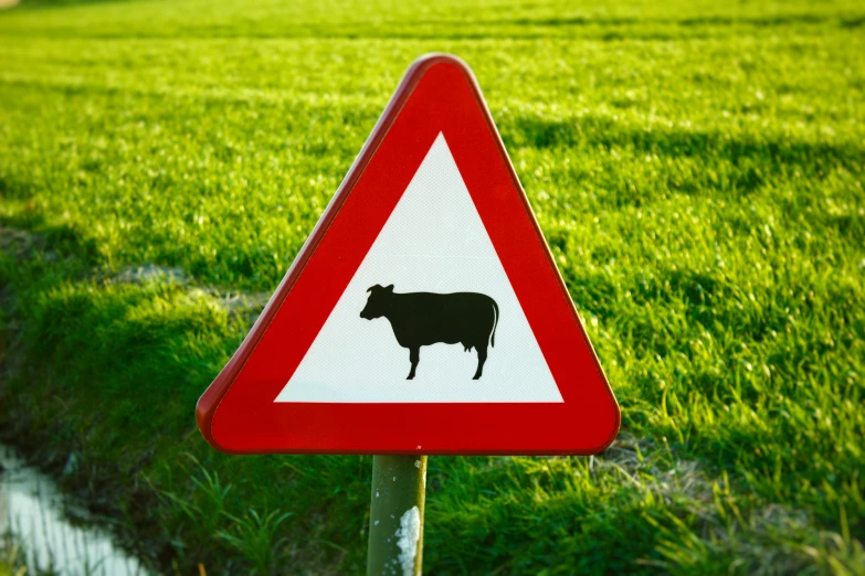 a cow standing in front of a street sign