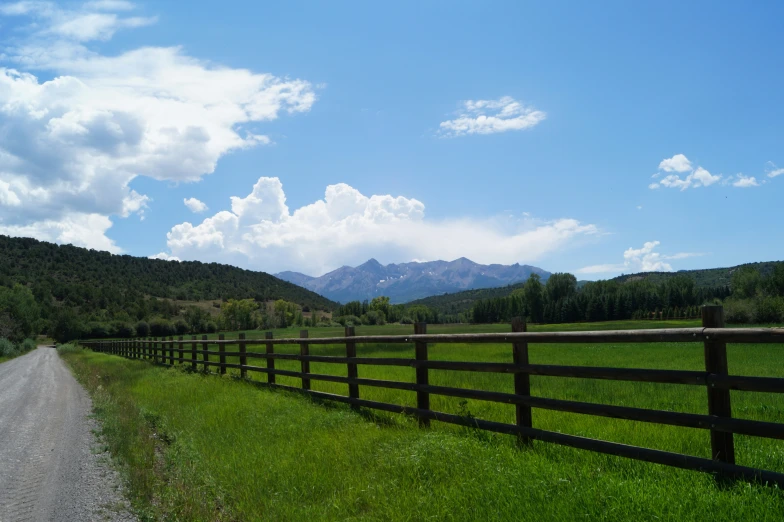 a rural road and a fence line the sides of a field