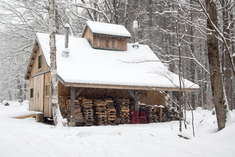 a log cabin nestled between two trees covered in snow