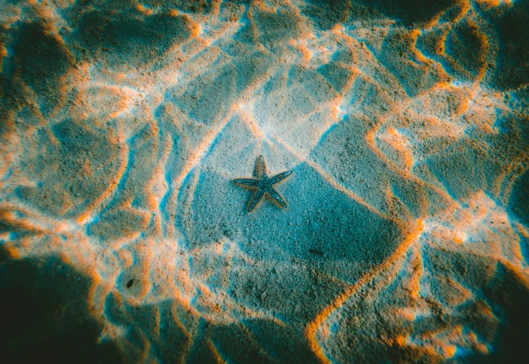 this is an aerial view of the star in the sky