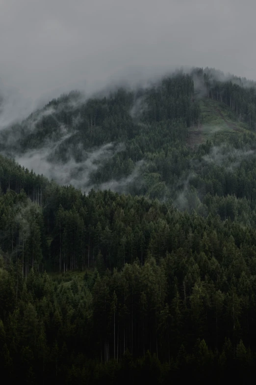 fog is covering the tops of some trees and mountains