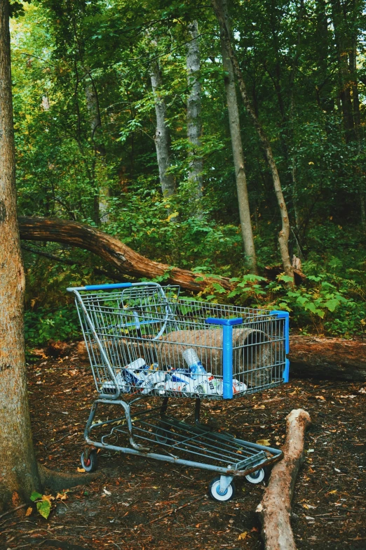 a shopping cart parked in the woods next to a tree