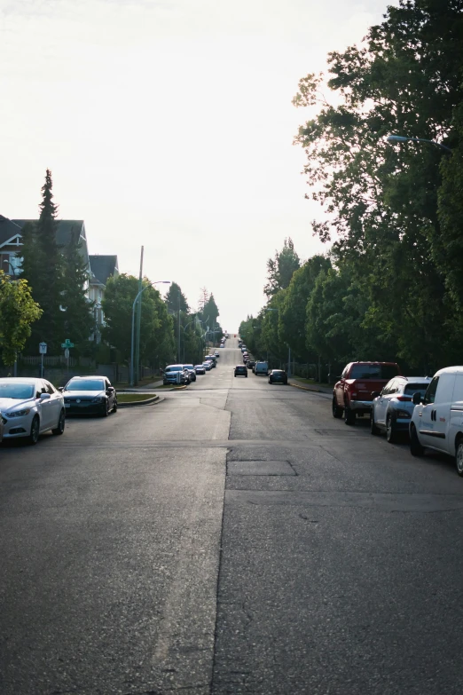 a street lined with parked cars and trees