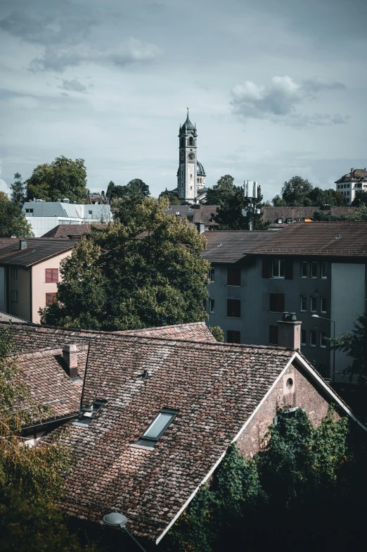 a city view with old roofs, tall buildings and a clock tower in the distance