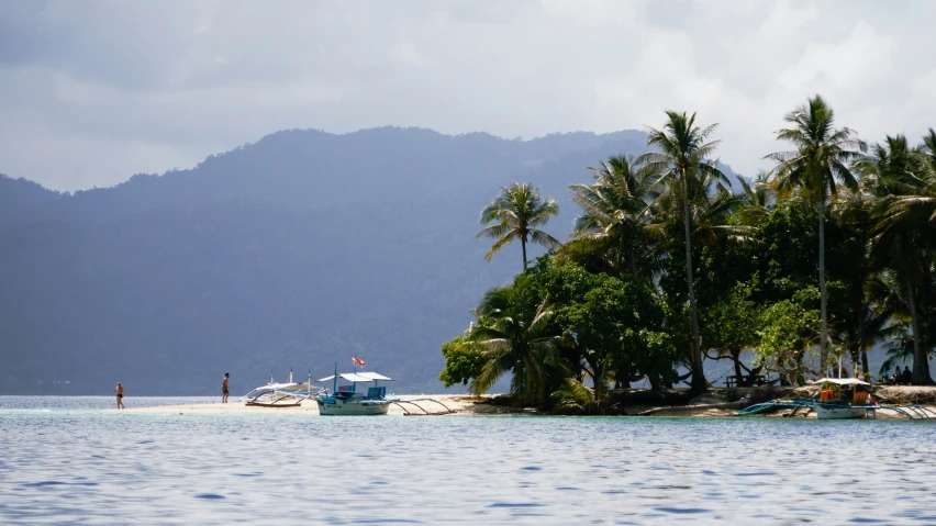 several boats are docked at the beach with palm trees on either side