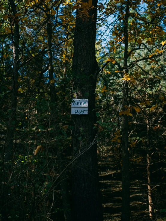 a sign on a tree in a forest
