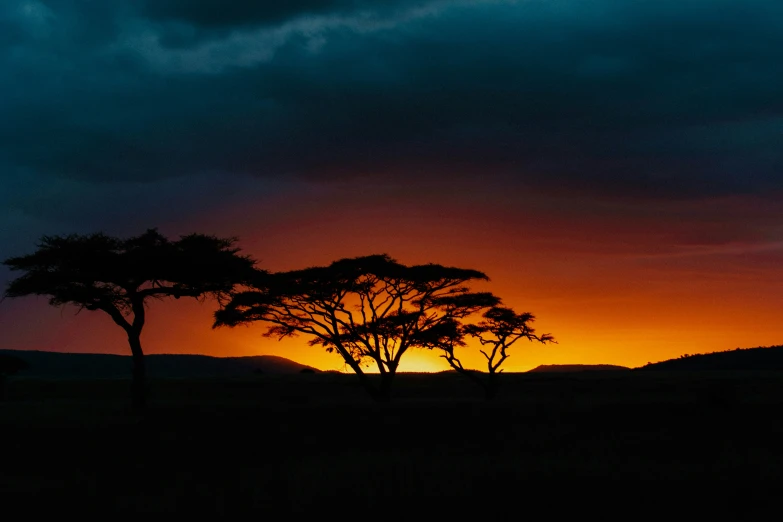 the sun is setting behind some trees