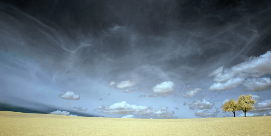 two trees in an empty area, with storm clouds in the background