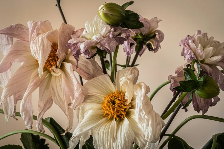 this is flowers on the stem and in a vase