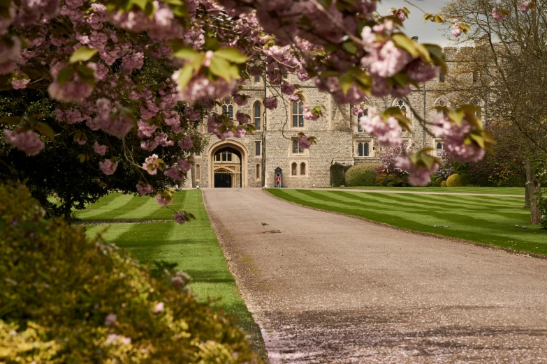 a pathway leads up to a house with flowers on it