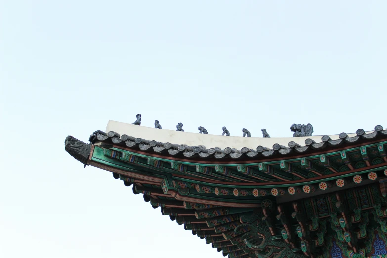 several birds are perched on top of the roof