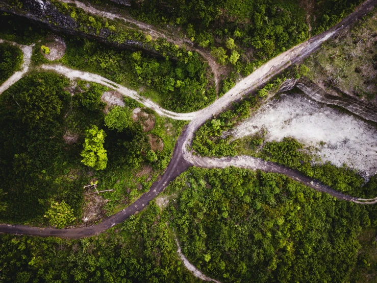 two roads through a lush green forest on top of a hill