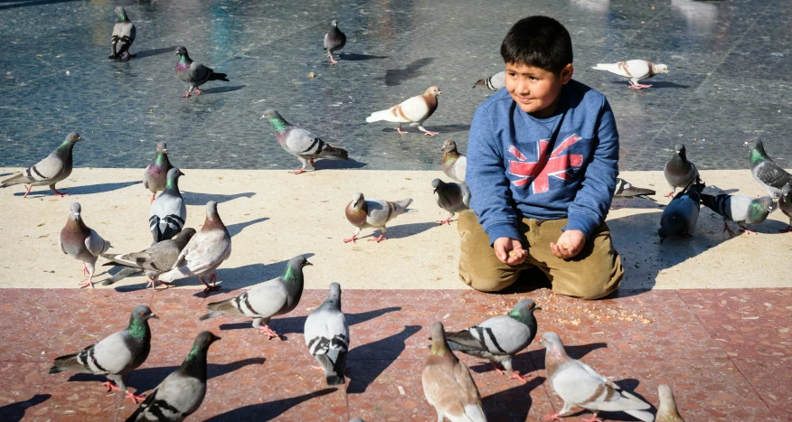 a boy standing on a sidewalk next to a flock of pigeons