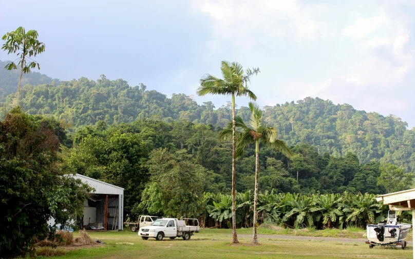 a white truck and a black van parked next to a green hill