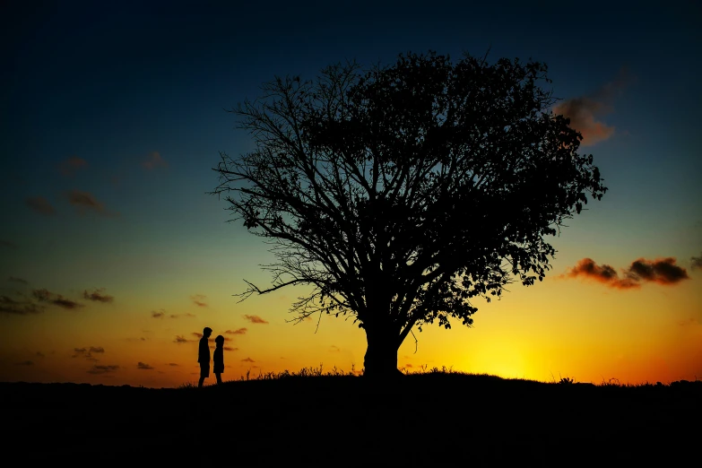 two people in silhouette with a tree at sunset