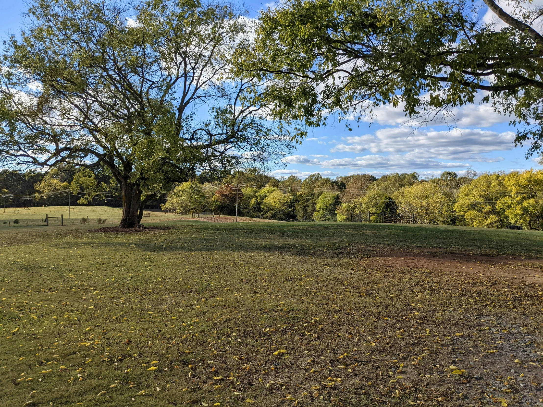 a bench that is next to some trees